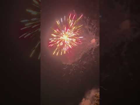 Flamingo Bombs 6 shells