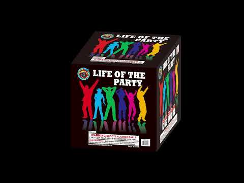 Life of the Party