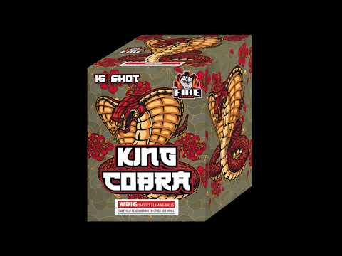King Cobra